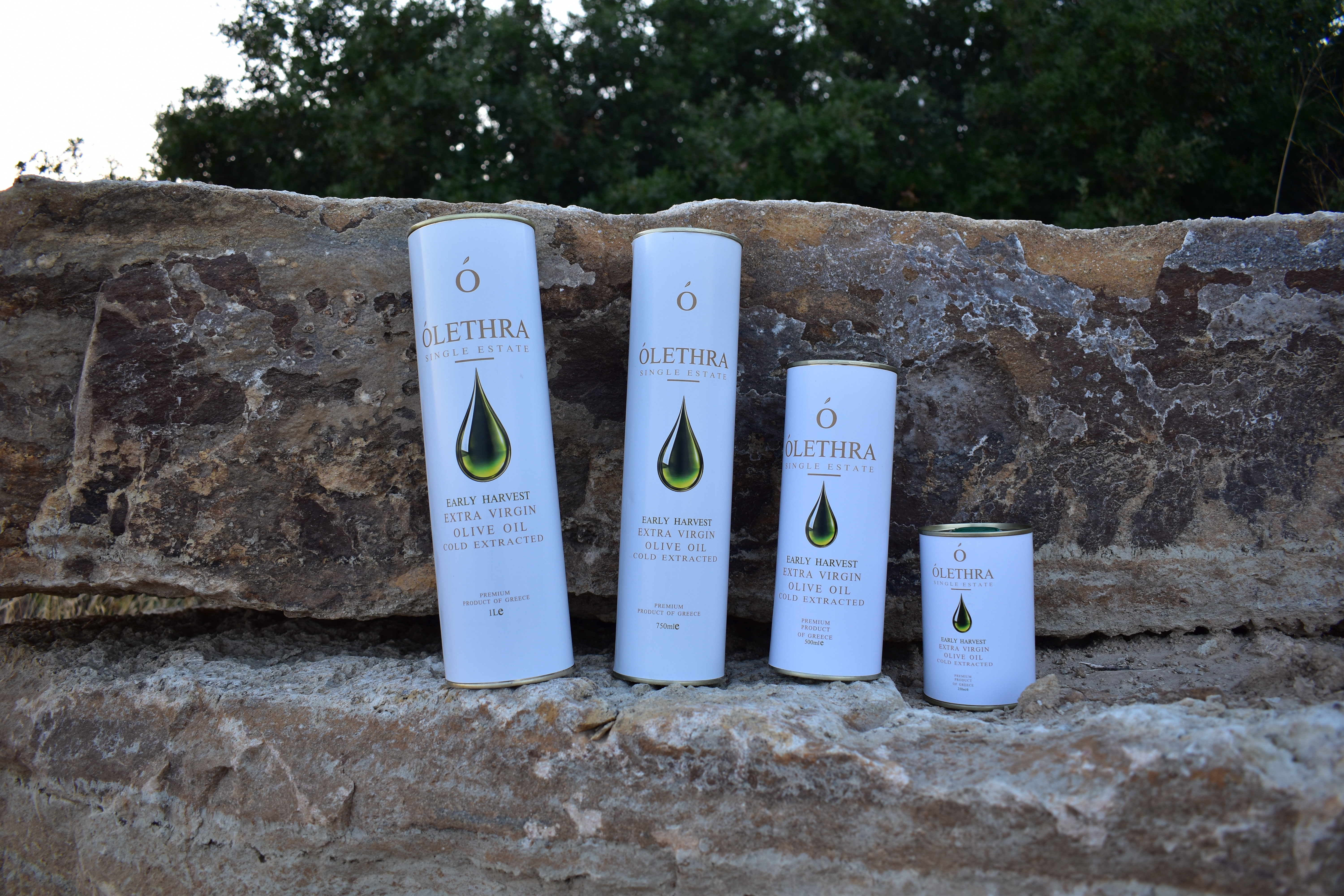 OLETHRA Early Harvest white collection on a stone background